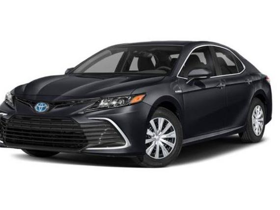 TOYOTA CAMRY 2023 4T1G11AK1PU159769 image