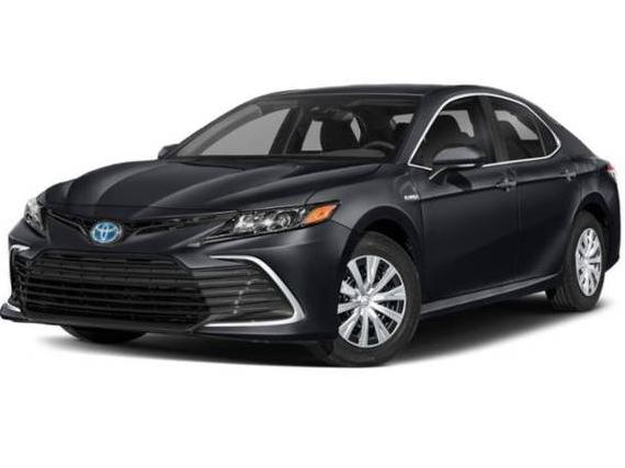 TOYOTA CAMRY 2023 4T1G11AK8PU782385 image