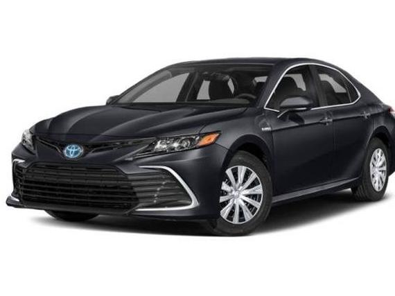 TOYOTA CAMRY 2023 4T1G11AK3PU834554 image