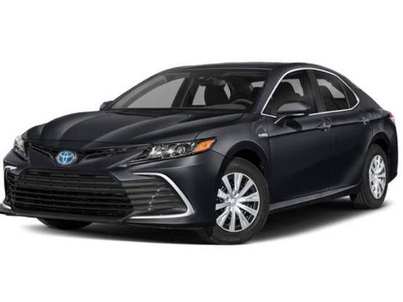 TOYOTA CAMRY 2023 4T1G11AK7PU786279 image