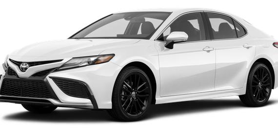 TOYOTA CAMRY 2023 4T1G11AK8PU800710 image