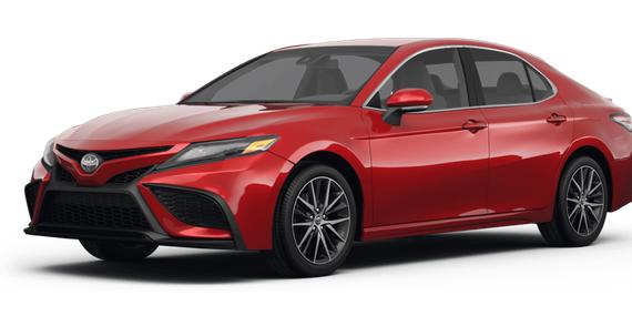 TOYOTA CAMRY 2023 4T1G11AK0PU171329 image