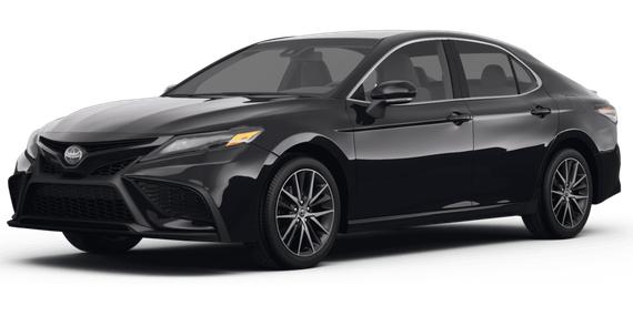 TOYOTA CAMRY 2023 4T1G11BK9PU087704 image