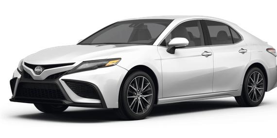 TOYOTA CAMRY 2023 4T1G11AK7PU752813 image
