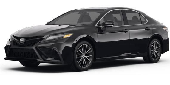 TOYOTA CAMRY 2023 4T1G11AK2PU733537 image