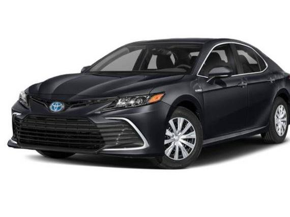 TOYOTA CAMRY 2023 4T1G11AK6PU128680 image