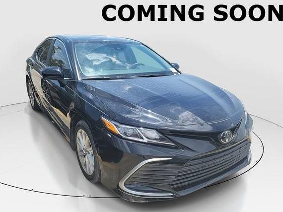 TOYOTA CAMRY 2023 4T1C11AK9PU154902 image