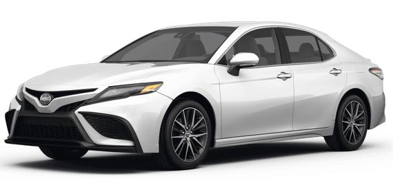 TOYOTA CAMRY 2023 4T1G11AK3PU120262 image
