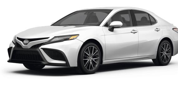 TOYOTA CAMRY 2023 4T1G11AK0PU135656 image