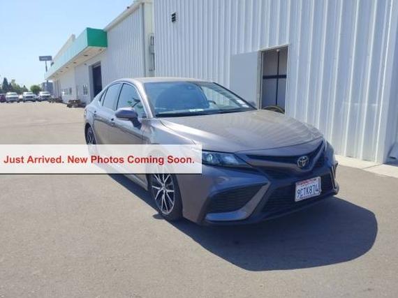 TOYOTA CAMRY 2023 4T1T11AK3PU081851 image