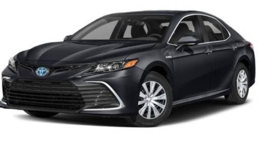 TOYOTA CAMRY 2023 4T1G11AK7PU081692 image