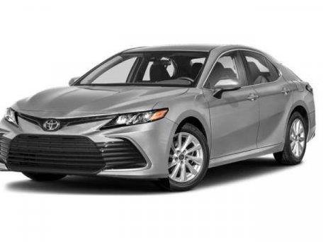 TOYOTA CAMRY 2023 4T1C11AK7PU142005 image