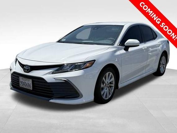 TOYOTA CAMRY 2023 4T1C11AK6PU726458 image