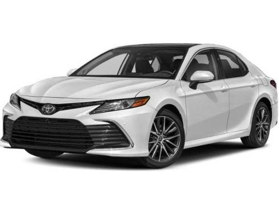 TOYOTA CAMRY 2023 4T1F11AK1PU814430 image