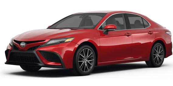 TOYOTA CAMRY 2023 4T1G11AK4PU184584 image