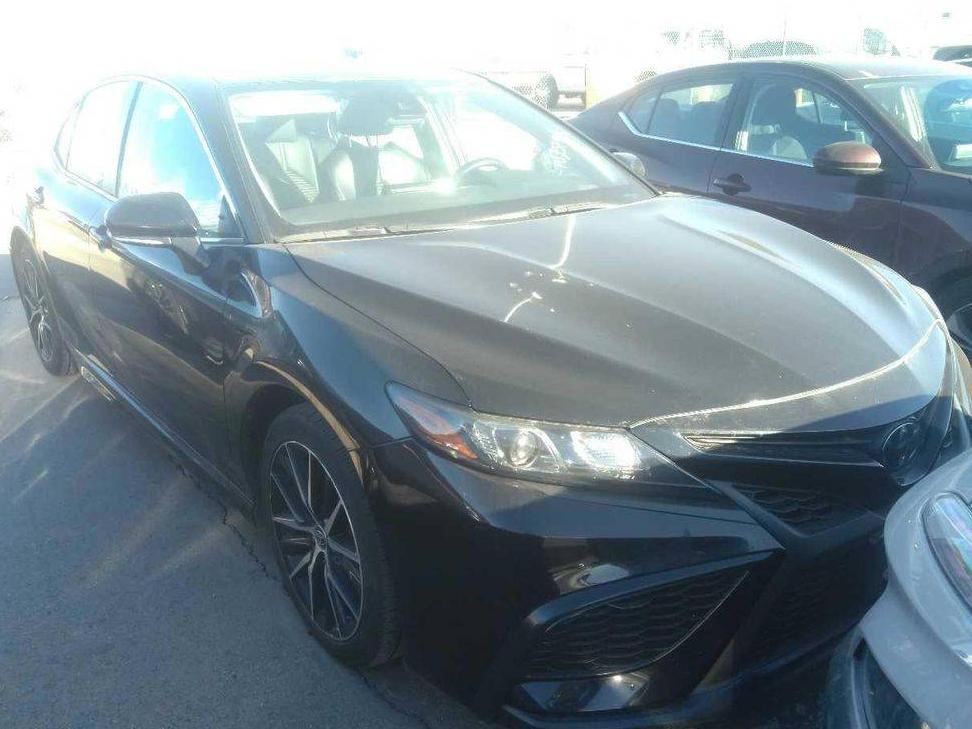 TOYOTA CAMRY 2023 4T1G11AK8PU737933 image