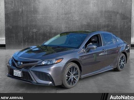 TOYOTA CAMRY 2023 4T1G31AK6PU605814 image