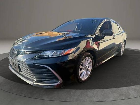 TOYOTA CAMRY 2023 4T1C11AKXPU084343 image