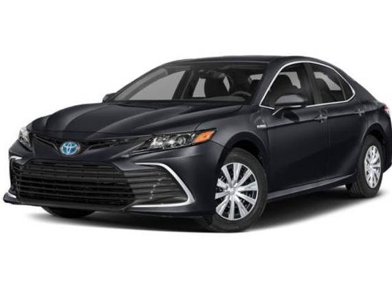 TOYOTA CAMRY 2023 4T1G31AK4PU618030 image