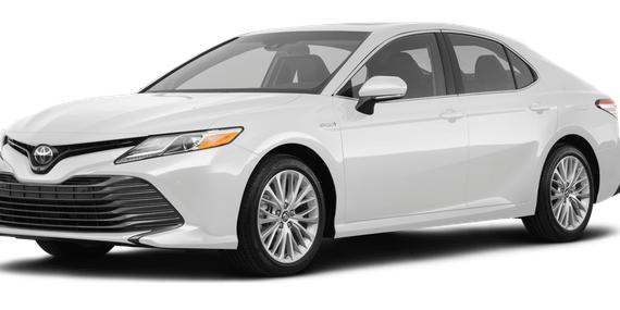 TOYOTA CAMRY 2019 4T1B31HK2KU514564 image