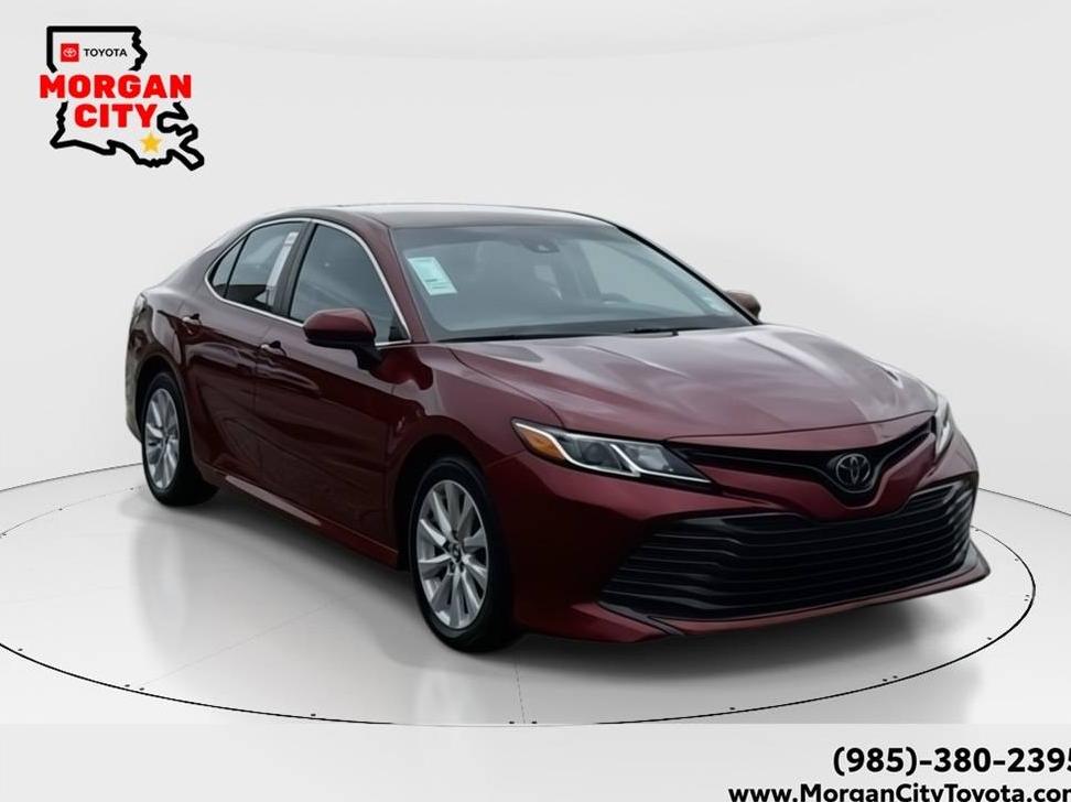 TOYOTA CAMRY 2019 4T1B11HK5KU233963 image