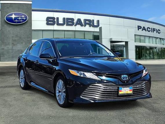 TOYOTA CAMRY 2019 4T1B21HKXKU014137 image