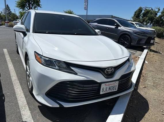 TOYOTA CAMRY 2019 4T1B11HK3KU771593 image
