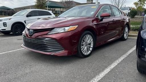 TOYOTA CAMRY 2019 4T1B21HK9KU513589 image