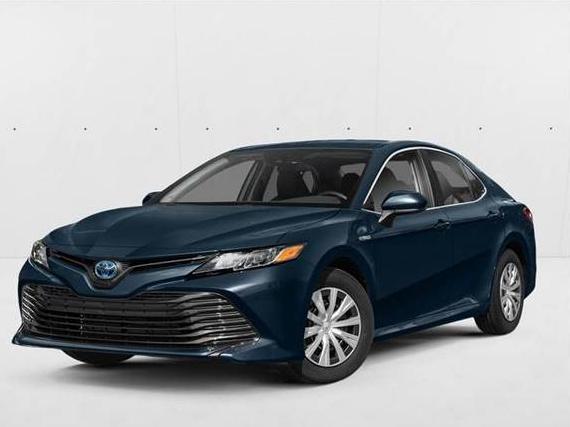 TOYOTA CAMRY 2019 4T1B31HK8KU511443 image