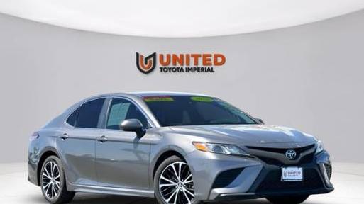 TOYOTA CAMRY 2019 4T1B11HKXKU227365 image