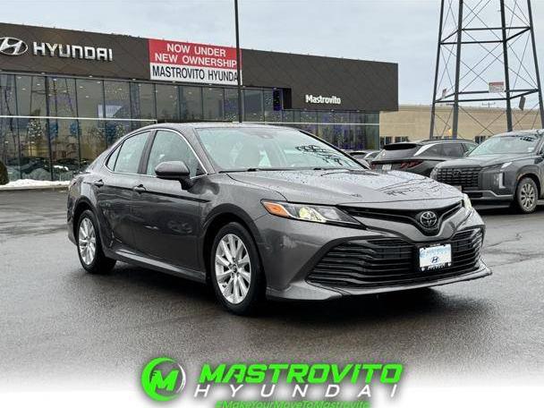 TOYOTA CAMRY 2019 4T1B11HK9KU284625 image