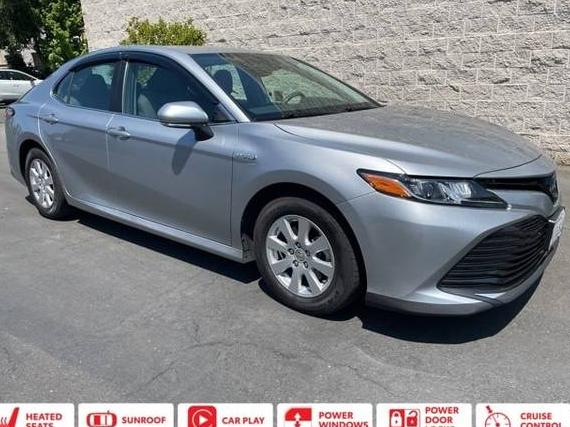 TOYOTA CAMRY 2019 4T1B31HK8KU006339 image