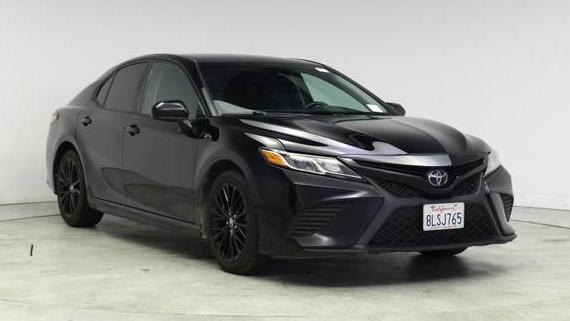 TOYOTA CAMRY 2019 4T1B11HKXKU264724 image
