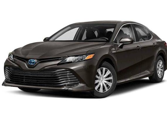 TOYOTA CAMRY 2019 4T1B31HK1KU515706 image