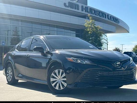 TOYOTA CAMRY 2019 4T1B31HK2KU006675 image