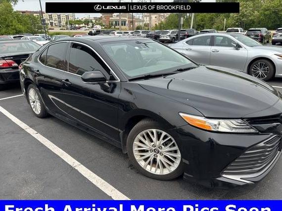 TOYOTA CAMRY 2019 4T1B11HK9KU814902 image