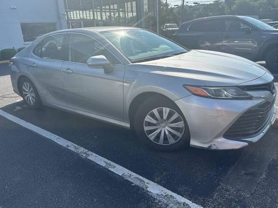 TOYOTA CAMRY 2019 4T1B31HK7KU514012 image