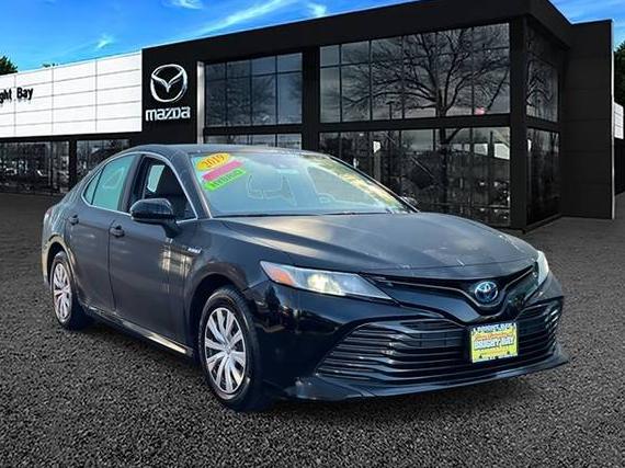 TOYOTA CAMRY 2019 4T1B31HK4KU004927 image