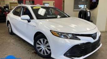 TOYOTA CAMRY 2019 4T1B31HK2KU513740 image