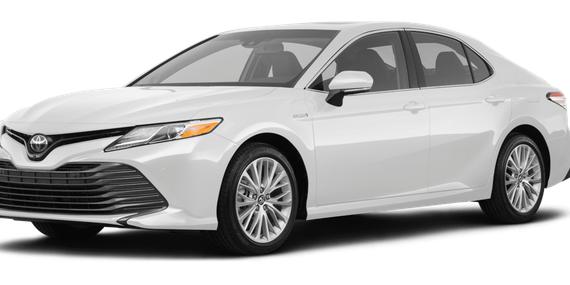 TOYOTA CAMRY 2019 4T1B21HK1KU513442 image