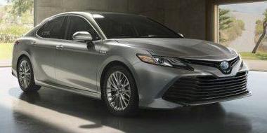TOYOTA CAMRY 2019 4T1B31HK5KU511996 image