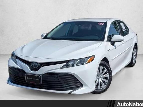 TOYOTA CAMRY 2019 4T1B31HK9KU005104 image