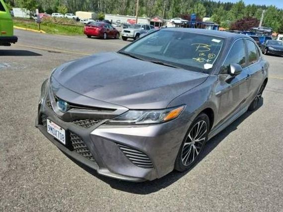 TOYOTA CAMRY 2019 4T1B21HKXKU515187 image