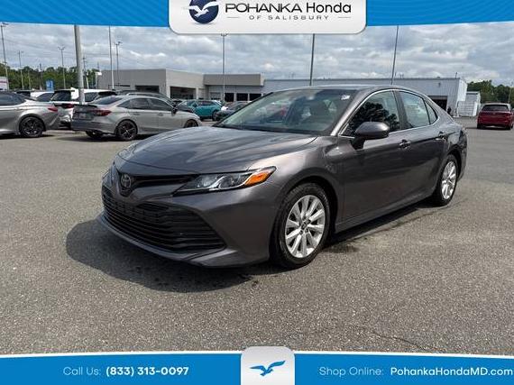 TOYOTA CAMRY 2019 4T1B11HKXKU837234 image