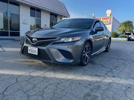 TOYOTA CAMRY 2019 4T1B11HKXKU776905 image