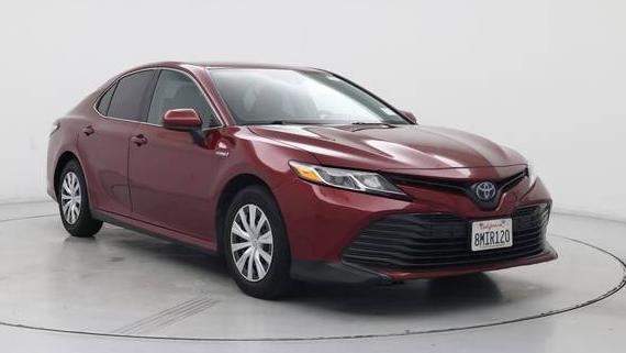 TOYOTA CAMRY 2019 4T1B31HK1KU517505 image