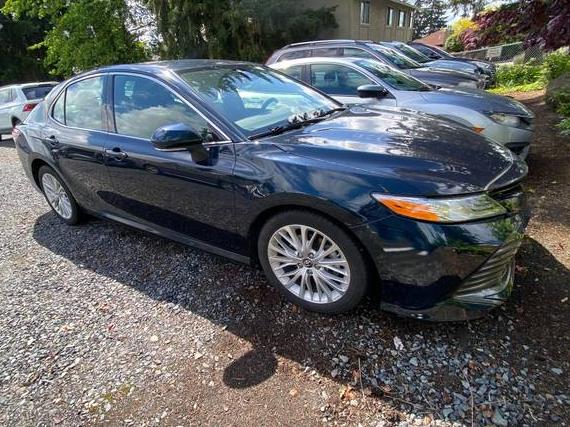 TOYOTA CAMRY 2018 4T1B11HK2JU503939 image