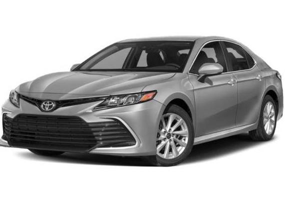 TOYOTA CAMRY 2021 4T1C11BK6MU037532 image
