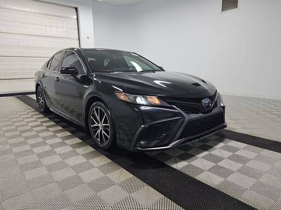 TOYOTA CAMRY 2021 4T1S31AK6MU029261 image TOYOTA CAMRY 2021 4T1S31AK6MU029261 image