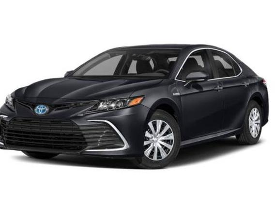TOYOTA CAMRY 2021 4T1F31AK4MU567751 image